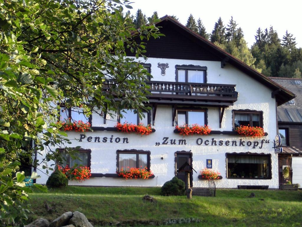 Hotel Am Ochsenkopf Bischofsgrün Zewnętrze zdjęcie