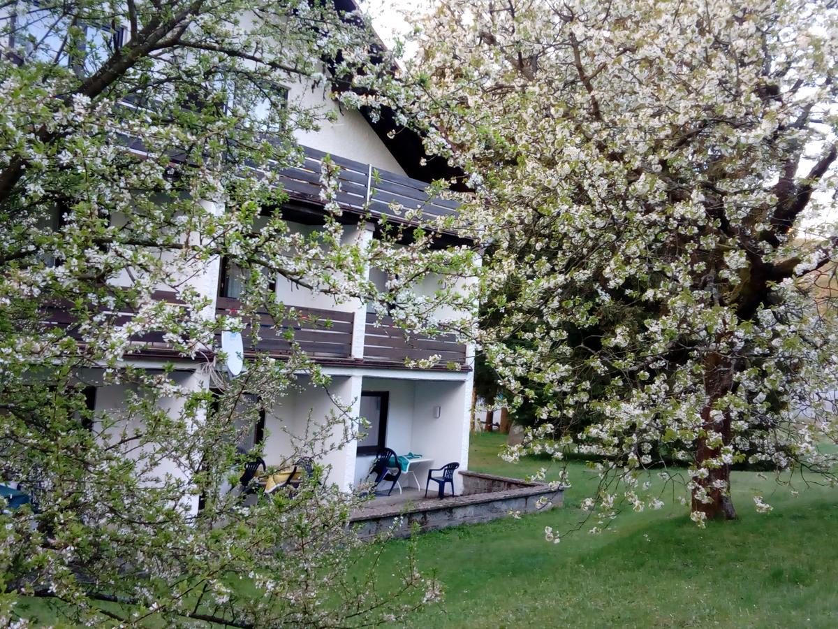 Hotel Am Ochsenkopf Bischofsgrün Zewnętrze zdjęcie
